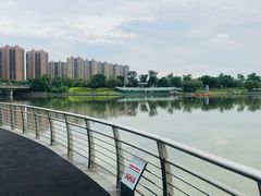-映月湖中央公园
