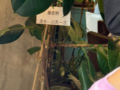 -泓0871臻选云南菜·味庄