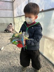 -萌宠亲子动物乐园(槐房万达店)