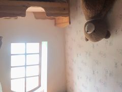 -金山农民画村-枫泾波兰倒置屋