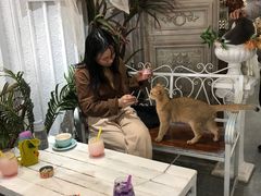 -共舞时光猫咖·狗咖(新街口店)