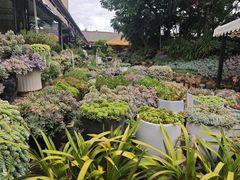 -山菌美食苑(振兴路店)