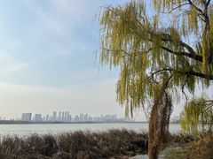 -金银湖国家城市湿地公园