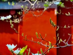 -北京市劳动人民文化宫(太庙)