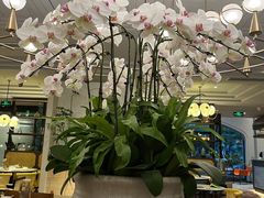 -鹿港小镇(霄云店)