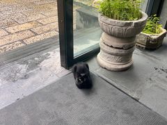 -香然会·园林雅宴(陆家嘴店)