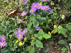 -小方的面(徐家汇店)