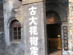 -大槐树寻根祭祖园