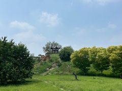 -赵州桥景区