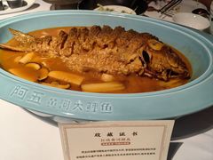 -阿五黄河大鲤鱼(纬三路店)