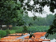 -西溪国家湿地公园