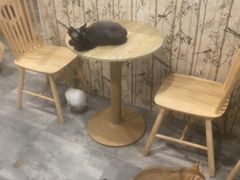 -楼上猫咖(罗湖店)