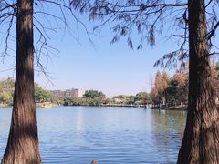-番禺大夫山森林公园