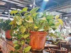 -原始泥炉烤肉(总店)