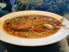 葱烧有机武昌鱼-湖滨客舍·湖北菜