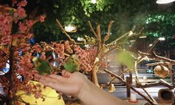 -酷嗒动物文化乐园(cutezoo西溪乐天城店)