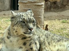 -青藏高原野生动物园