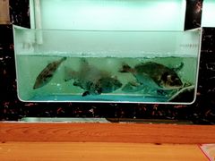-草鱼先生潮州鱼生·虾生(新厦花园店)