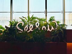 -Seesaw Coffee(朝阳大悦城店)