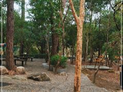 -四会奇石河风景区