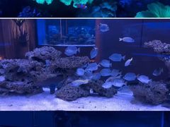 -上和臻品中国菜(花园街店)