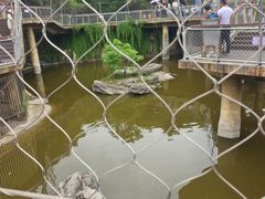-南昌动物园