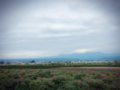 -富田农场