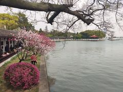 -无锡蠡湖国家湿地公园-蠡园