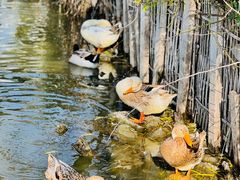 -金庭庄园酒店-停车场