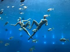 -瑞德姆美人鱼海底演艺主题餐厅(亚龙湾店)