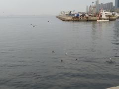 -东港音乐喷泉广场