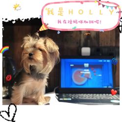 -一然·海俪