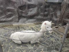 -上海大自然野生昆虫馆(东方明珠·爬宠昆虫探索中心)