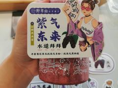 -野萃山·潮汕厚果汁(十亩地店)