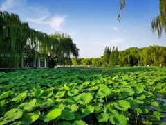 -鹊华居·地道鲁菜·海鲜·融合味(大明湖店)