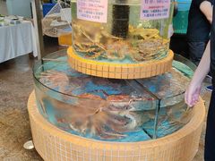 -荔城生鲜盛宴(番禺旗舰店)