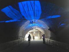 -广州塔晖粤轩中餐厅