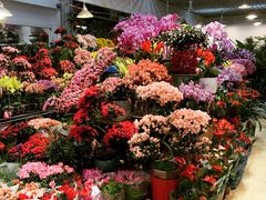 -双季花艺园艺市场(浦东店)