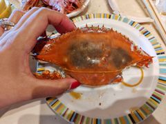 -蓝珊甄选海鲜自助·火锅大排档(近阿那亚店)