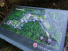 -西湖风景区-江洋畈生态公园