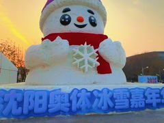 -沈阳奥体冰雪嘉年华