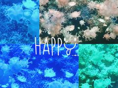 -珠海长隆海洋王国