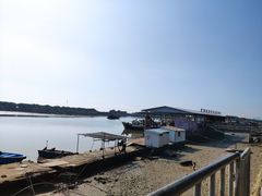 -大湾区中央湿地公园-十九涌