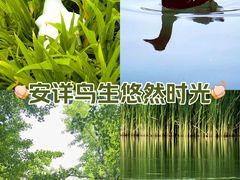 -海淀公园