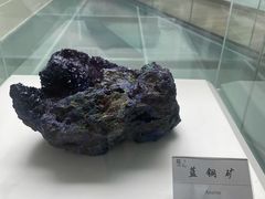 -延庆地质公园博物馆