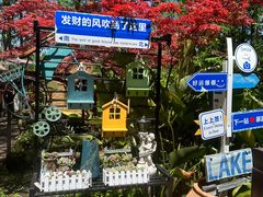 -东平国家森林公园