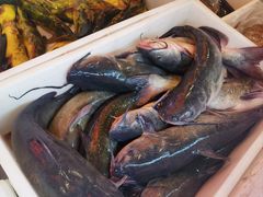 -江湖水乡铁锅炖魚(周庄嘉园店)