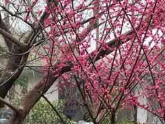 -郑和公园