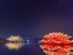 -洛阳市隋唐城遗址植物园