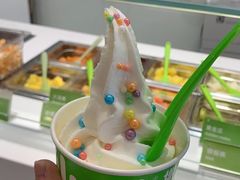 -Salud撒露欧洲冻酸奶(蓝色港湾店)